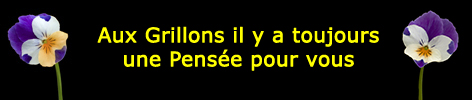 Une Pensée pour vous